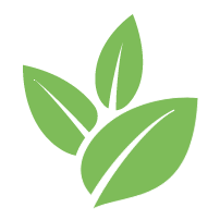 Tree Removal Service