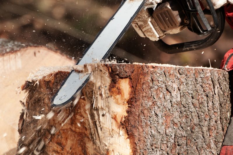 Dead Tree Removal in Montgomery County, PA