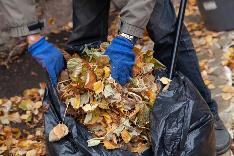 Collected Leaves Ready for Disposal
