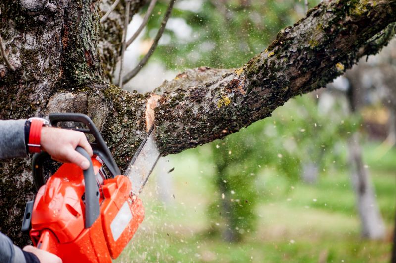 Mimosa Tree Removal in Doylestown, PA