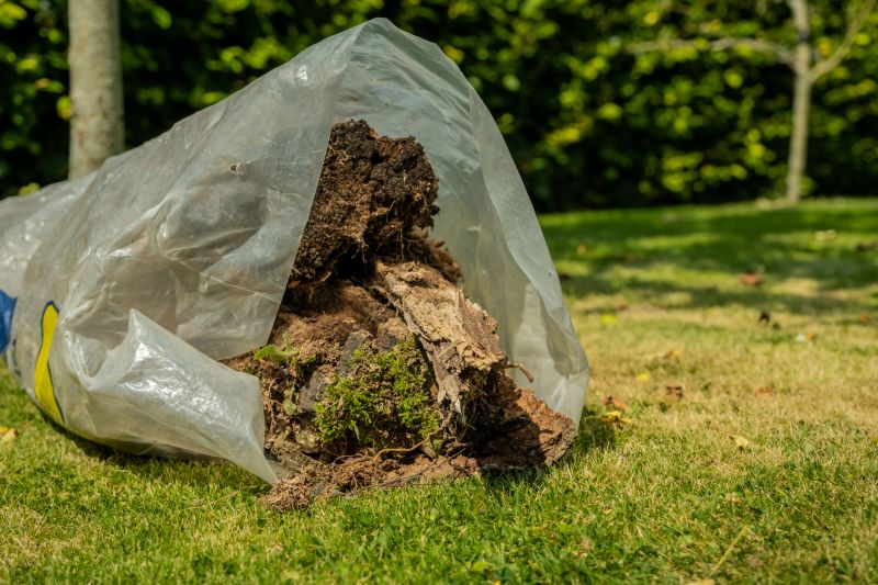 Tree Removal Service Cost — Cost of Tree Removal Service