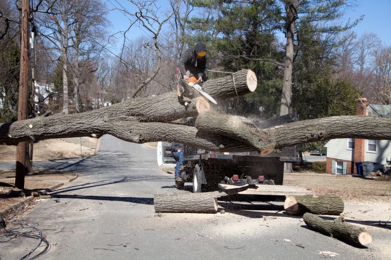 Tree Removal Service Cost — Cost of Tree Removal Service