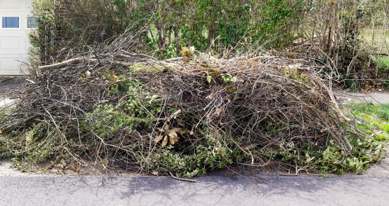 Tree Removal Service Cost — Cost of Tree Removal Service