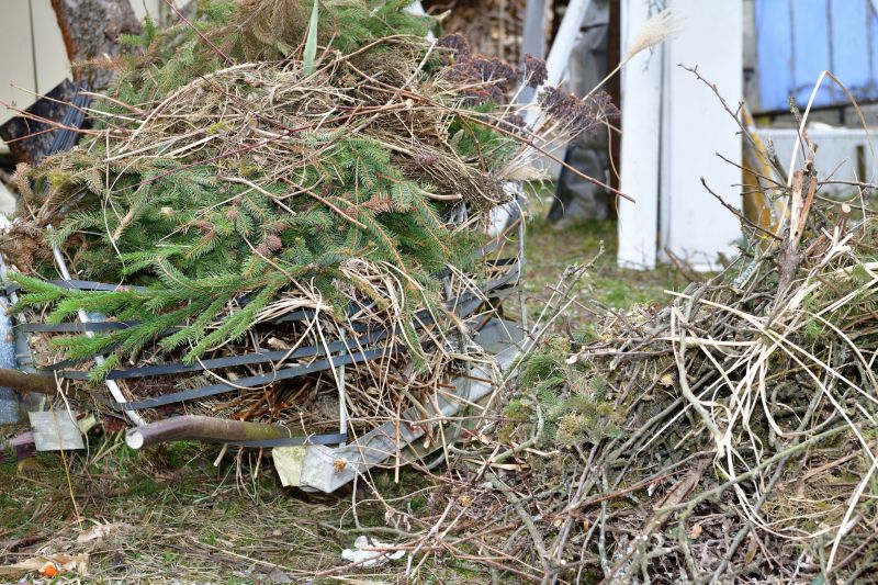 Tree Removal Service Cost — Cost of Tree Removal Service