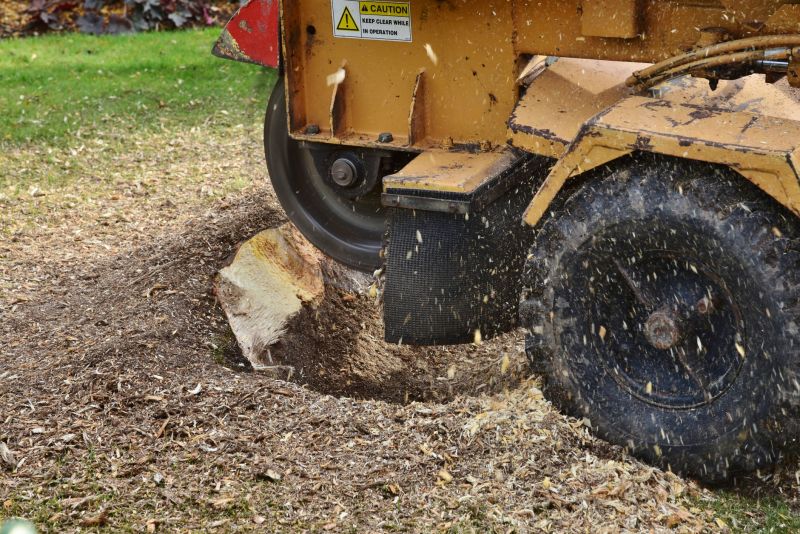 Stump Removal Equipment