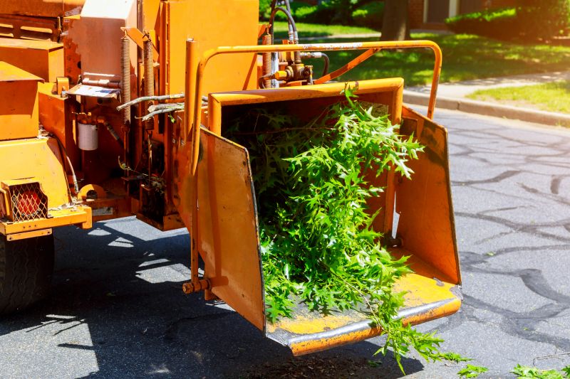 Tree Removal Equipment